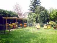 Bienenstand im Hausgarten